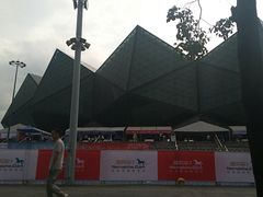 -深圳大运中心世界冠军羽毛球馆