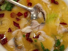 -蜀腾川·火锅鱼.烤鱼(新世界城店)