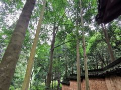-黄公望隐居地