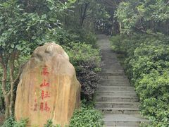 -梧桐山风景名胜区