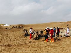 -银肯塔拉沙漠生态旅游景区
