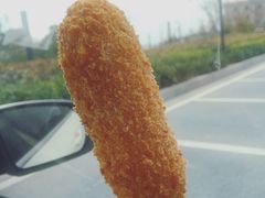 -青春米热狗