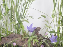 -荷兰布尔玛国际花艺学院