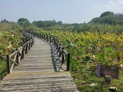 -梁鸿国家湿地公园