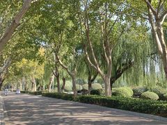 -云龙湖旅游景区