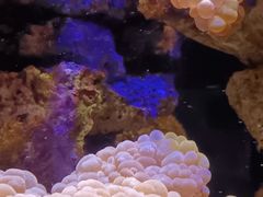 -南昌海洋公园