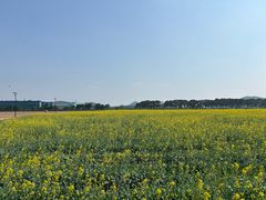 -三友乌鱼菜馆(金洲北路店)