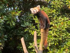 -杭州野生动物世界