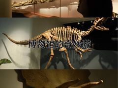 -自贡恐龙博物馆