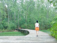 -合肥滨湖国家森林公园