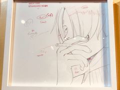 -东京塔海贼王主题公园
