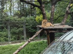 -上海野生动物园