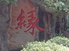-杭州黄龙洞
