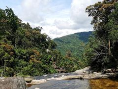 -海南热带雨林国家公园吊罗山景区