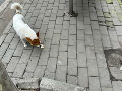 -袁大头包子(光华路店)