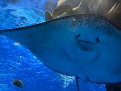 -太平洋海底世界