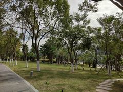 -厦门国家会计学院