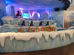 -帝企鹅自助餐厅•儿童岛•真企鹅(长隆企鹅酒店)