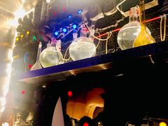 -Darling Queen·Mini·Live·House