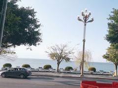 -野菌皇海景野生菌火锅(滨海大道店)