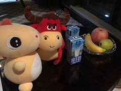-常州环球恐龙城维景国际大酒店