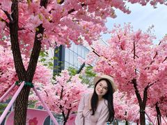 -东莞松山湖万象汇