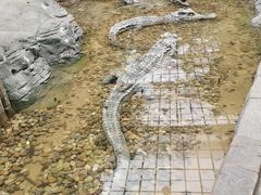 -龙达温泉生态城