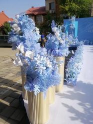 -雅奇婚庆(永乐园社区店)