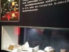 -陕西自然博物馆