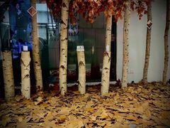 -星巴克臻选(深圳万象天地旗舰店)