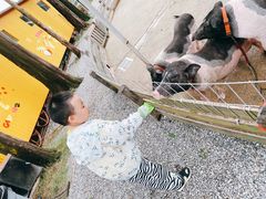 -前小桔亲子创意农场·草莓采摘·露营烧烤