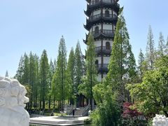 -桃花岛公园