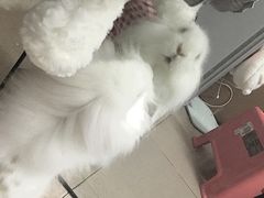 -龙猫仔乐园(惠福东路店)