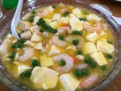 -前小桔亲子创意农场·草莓采摘·露营烧烤