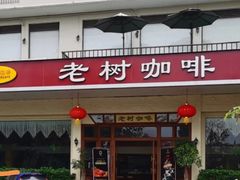 -OLD TREE老树咖啡·西餐厅(台山人工湖店)