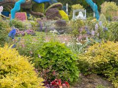 -上海共青森林公园