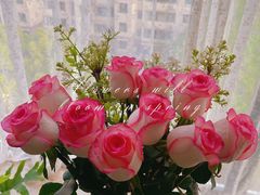 -双季花艺园艺市场(浦东店)