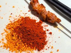 -很久以前羊肉串(朝阳路店)