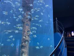 -厦门海底世界