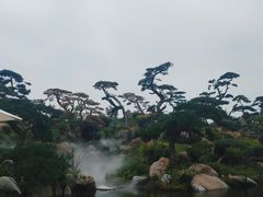 -罗红摄影艺术馆