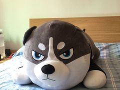 -济南富力凯悦酒店