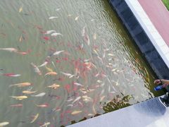 -南通洲际绿博园