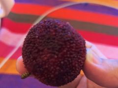 -鲜丰水果(杭州闲林山水店)