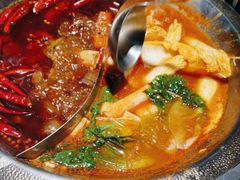 -辣伍鲜毛肚老火锅(元一店)