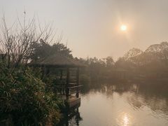 -成飞公园