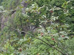 -萍乡武功山风景名胜区