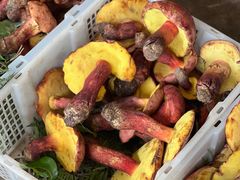 -云南木水花野生菌交易中心