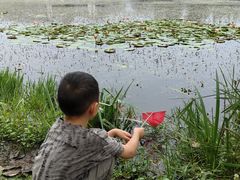 -白鹭湾湿地公园