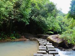 -广州白江湖森林公园