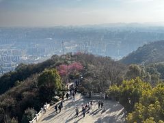 -杭州半山国家森林公园